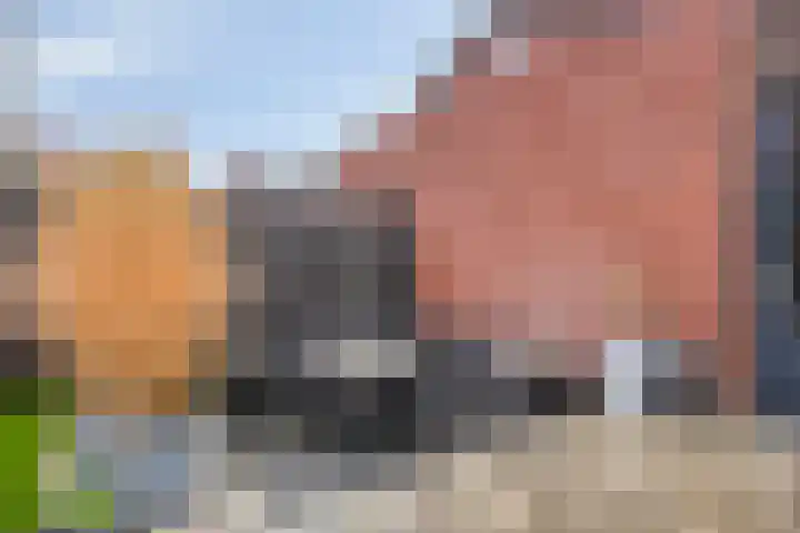 Koningsloper 20 Oss thumbnail 29