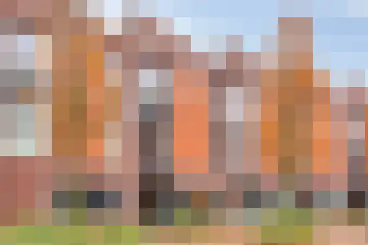 Koningsloper 20 Oss thumbnail 32