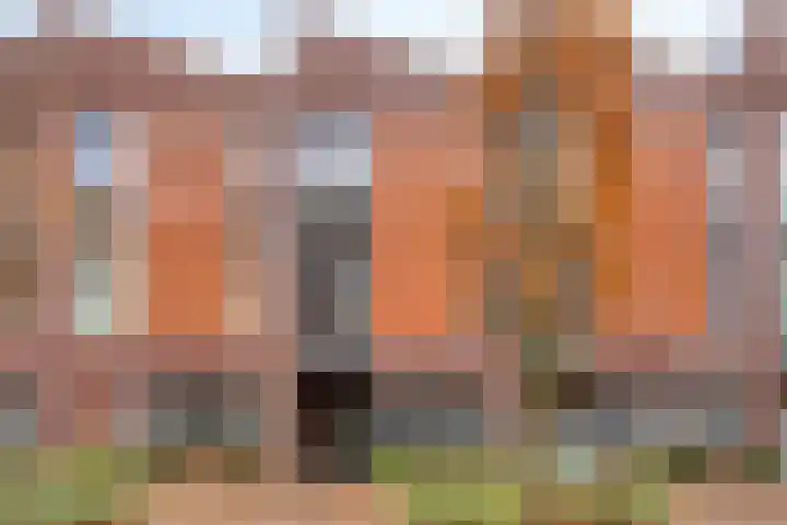 Koningsloper 20 Oss thumbnail 33