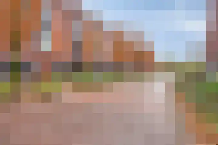 Koningsloper 20 Oss thumbnail 34