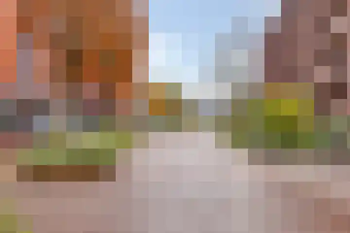 Koningsloper 20 Oss thumbnail 35