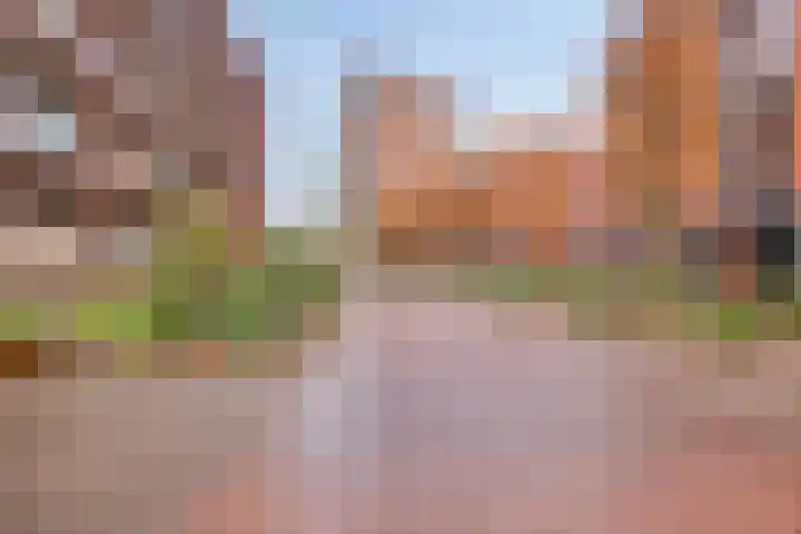 Koningsloper 20 Oss thumbnail 36