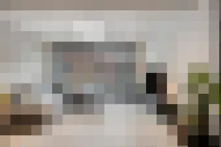 Koningsloper 20 Oss thumbnail 5