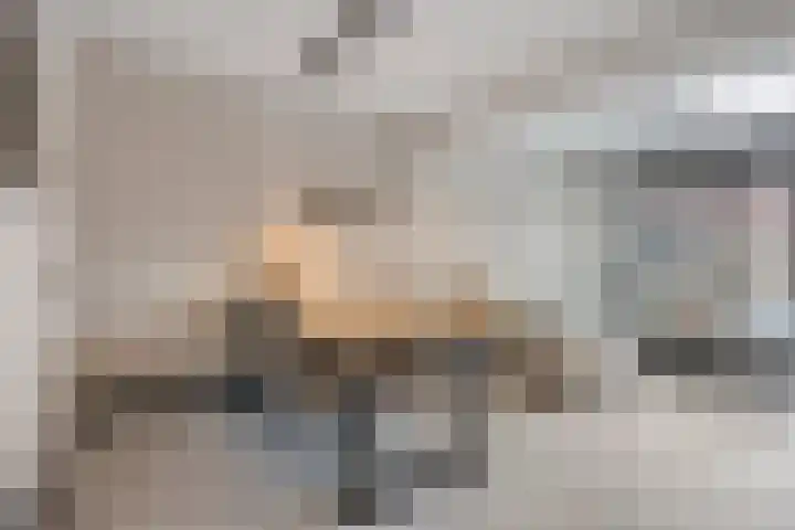 Koningsloper 20 Oss thumbnail 8