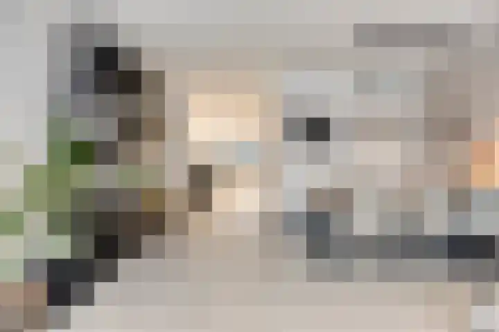 Koningsloper 20 Oss thumbnail 9