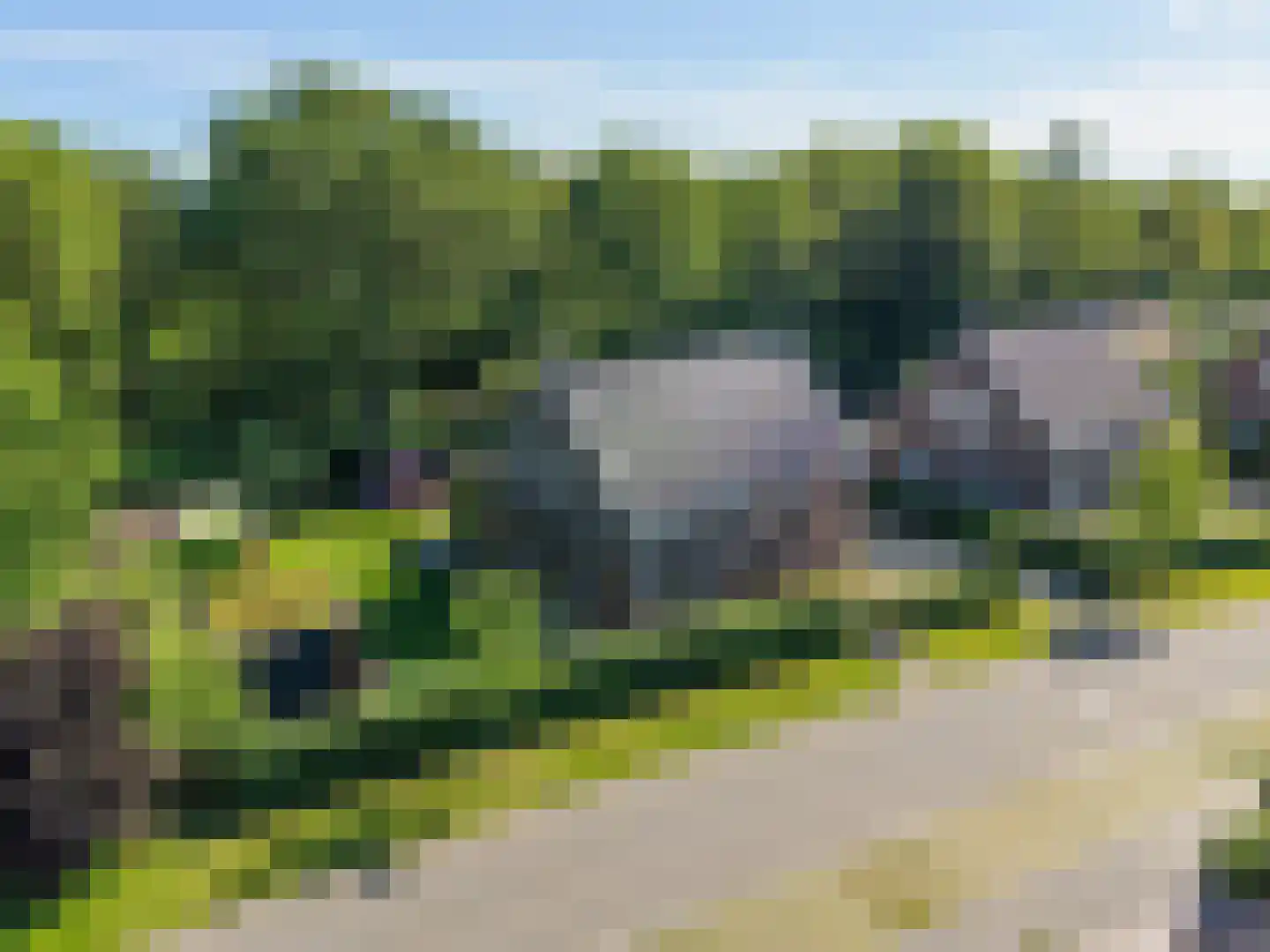 Koningsmantel 1 Assen thumbnail 13