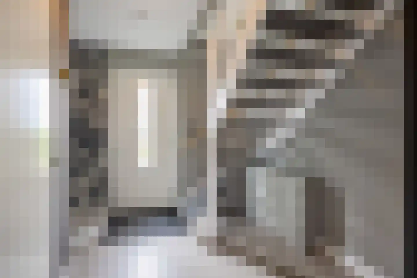 Koningsmantel 1 Assen thumbnail 18