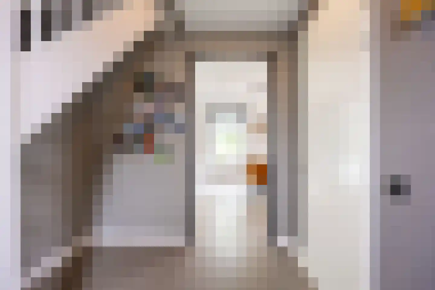 Koningsmantel 1 Assen thumbnail 20