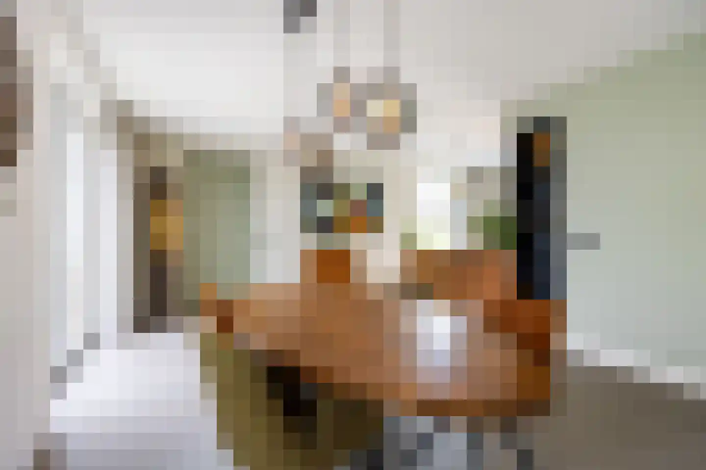 Koningsmantel 1 Assen thumbnail 22