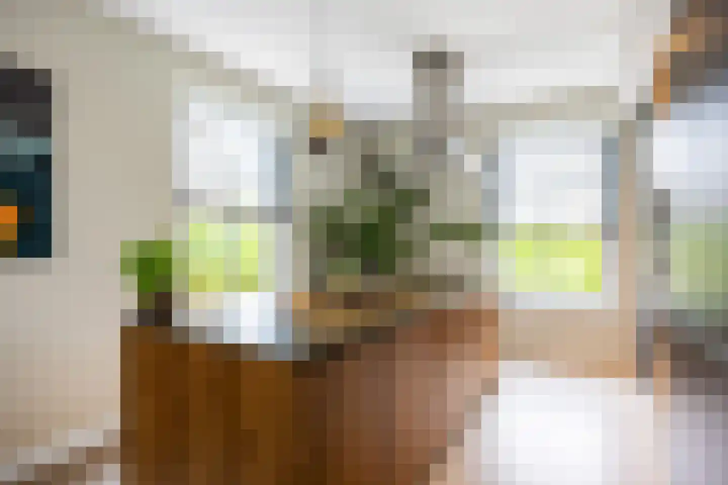 Koningsmantel 1 Assen thumbnail 24