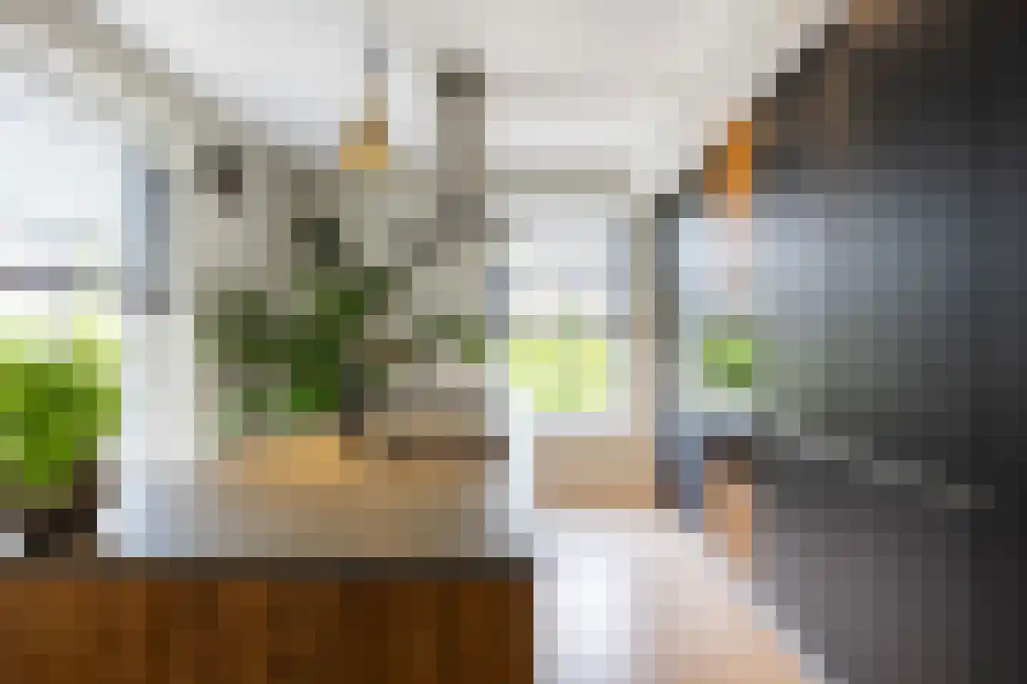 Koningsmantel 1 Assen thumbnail 25