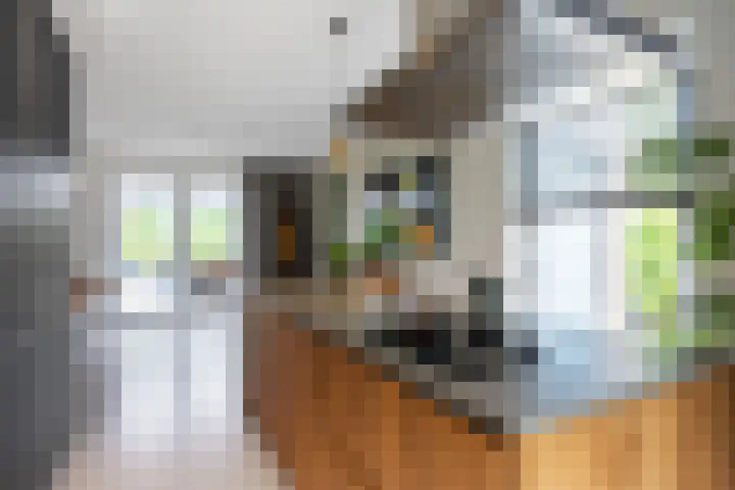 Koningsmantel 1 Assen thumbnail 26