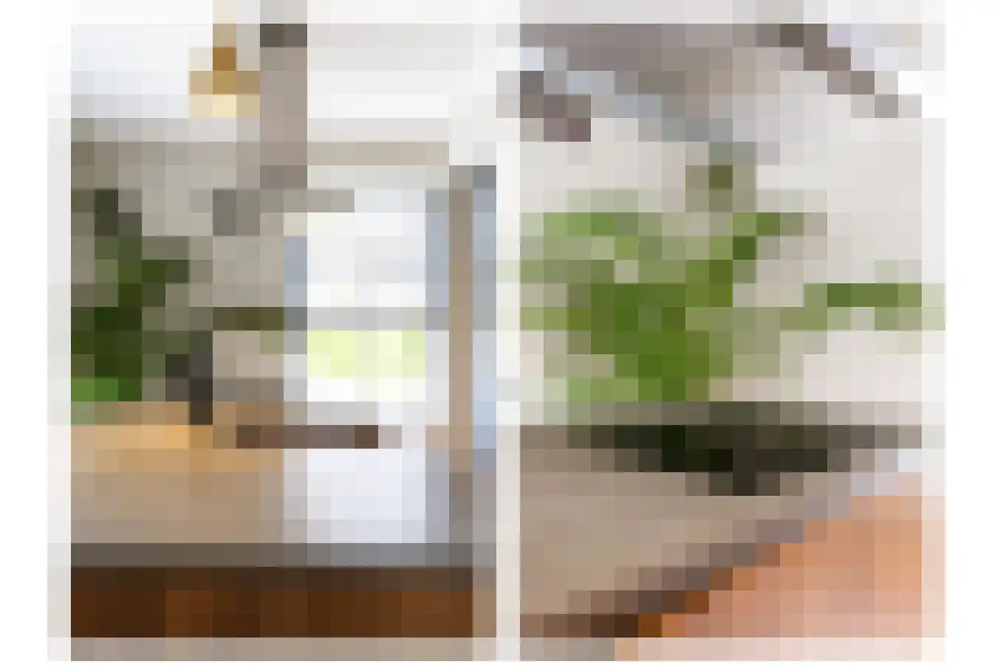 Koningsmantel 1 Assen thumbnail 28