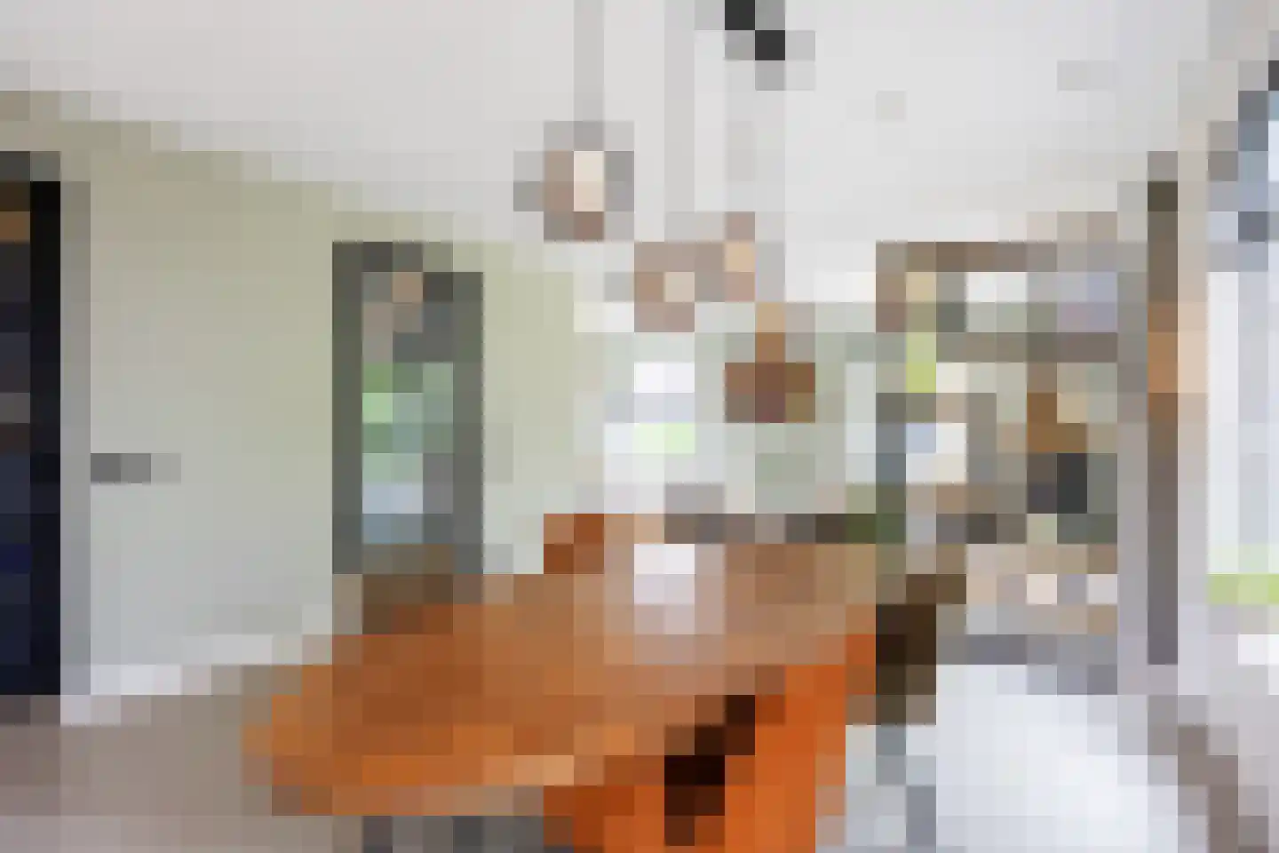 Koningsmantel 1 Assen thumbnail 31