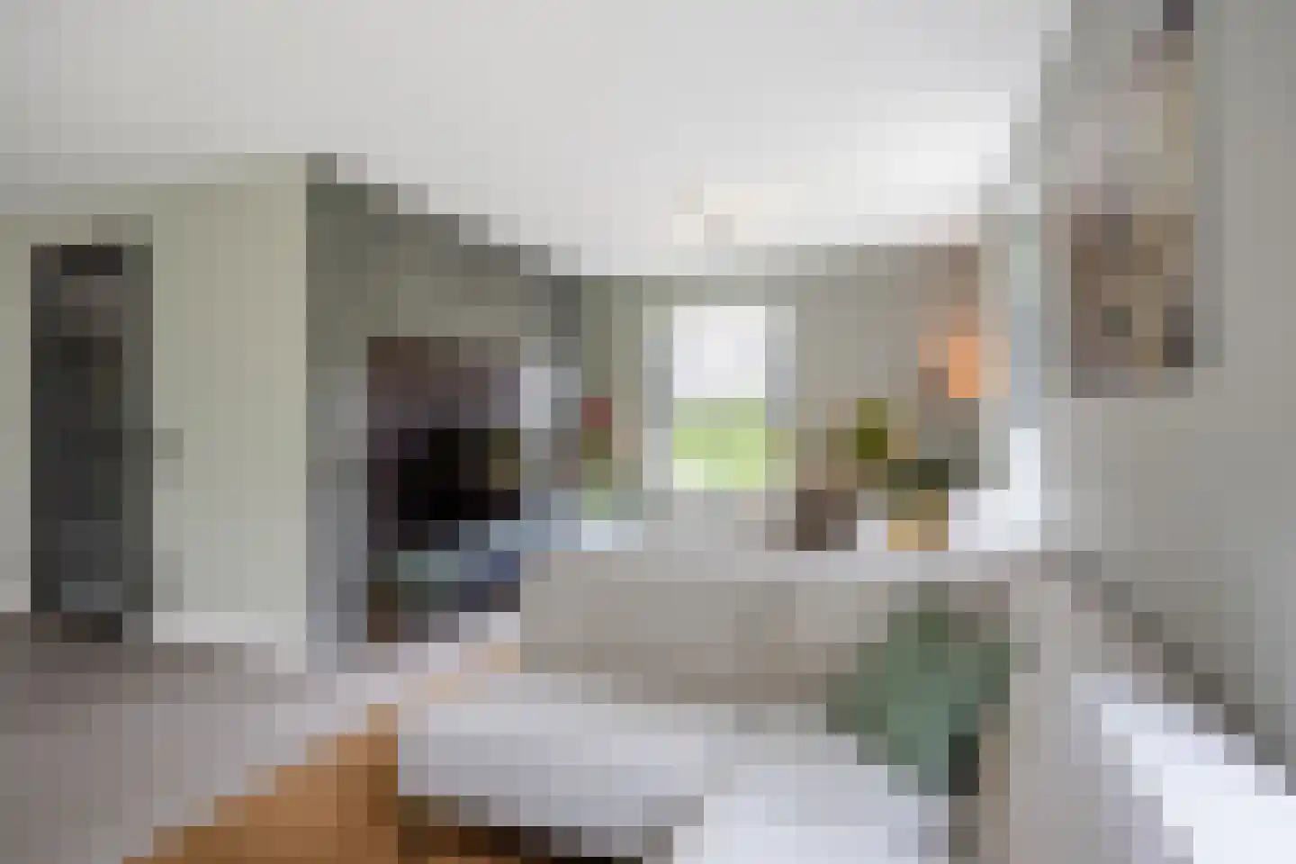 Koningsmantel 1 Assen thumbnail 35