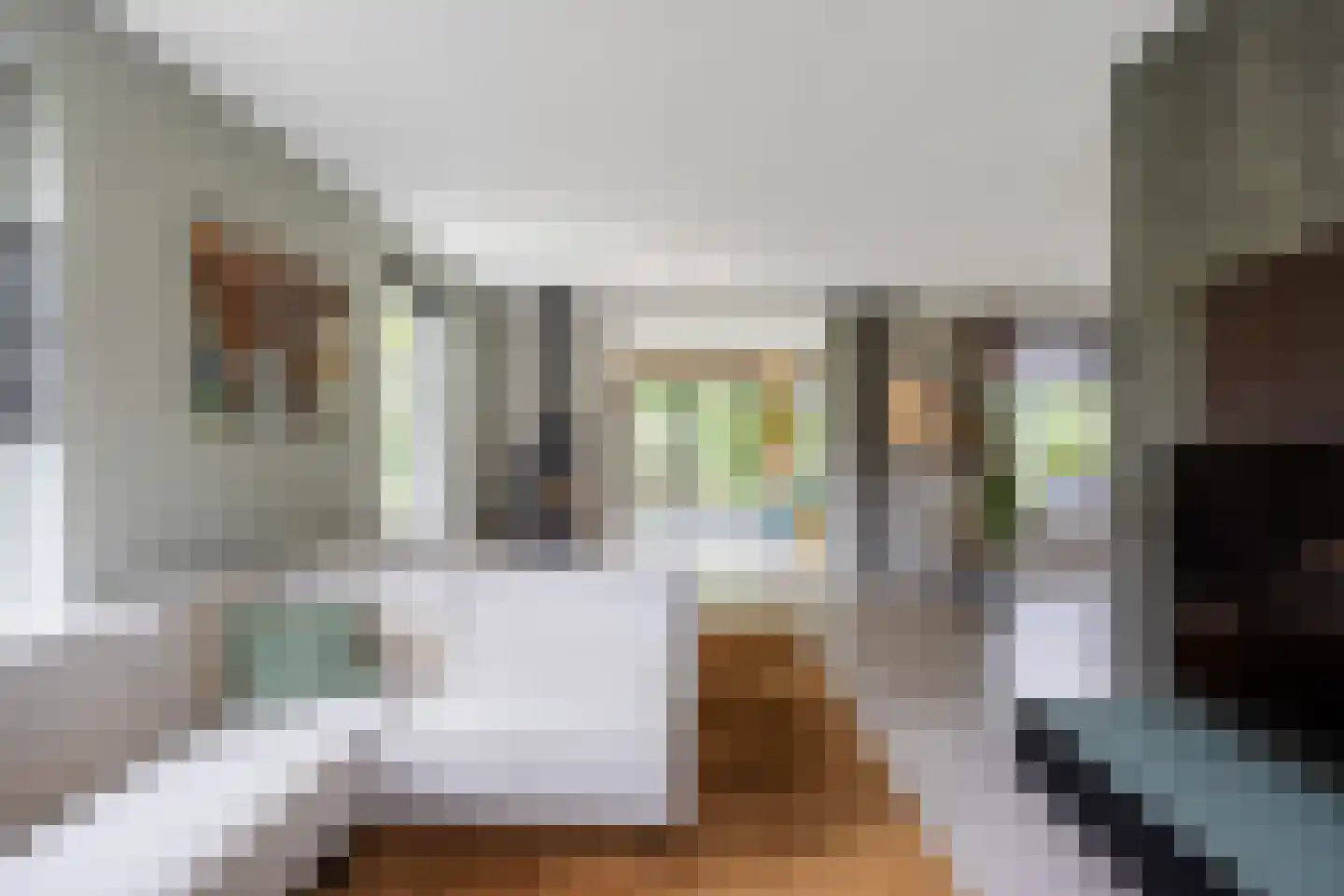 Koningsmantel 1 Assen thumbnail 36