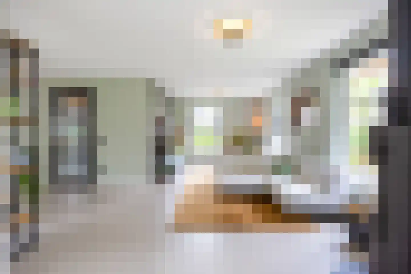 Koningsmantel 1 Assen thumbnail 4