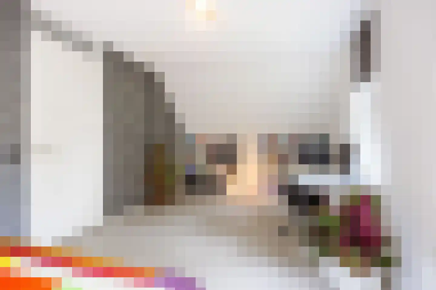 Koningsmantel 1 Assen thumbnail 45