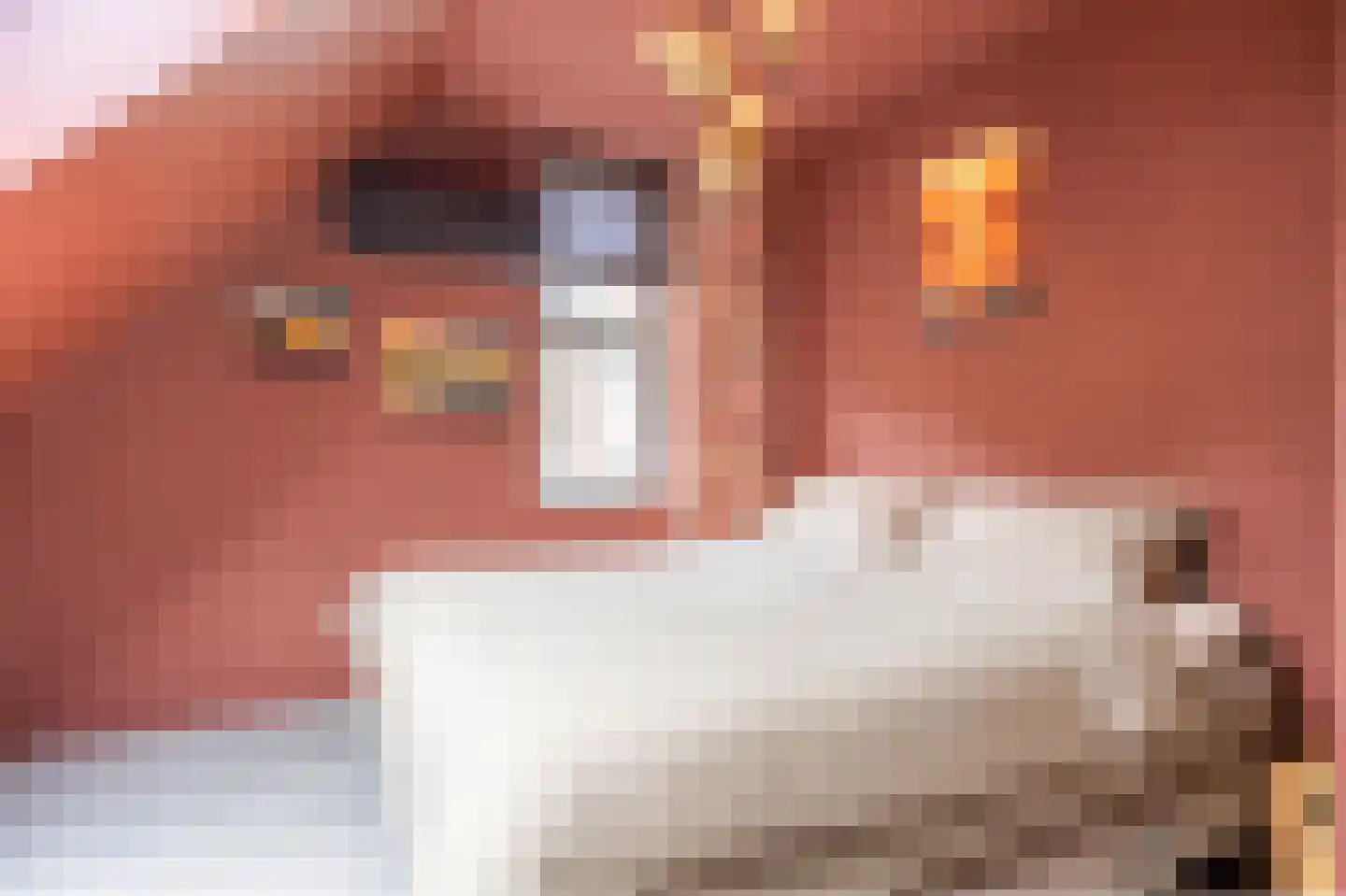 Koningsmantel 1 Assen thumbnail 46