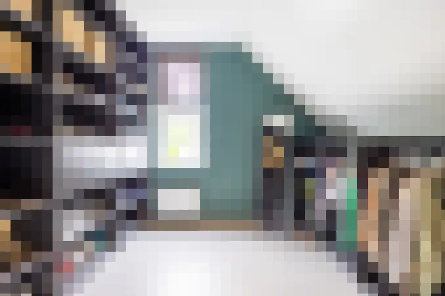 Koningsmantel 1 Assen thumbnail 48