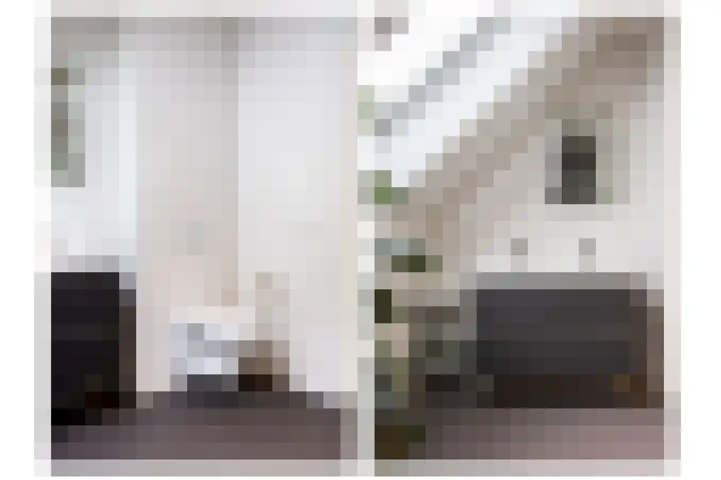 Koningsmantel 1 Assen thumbnail 52