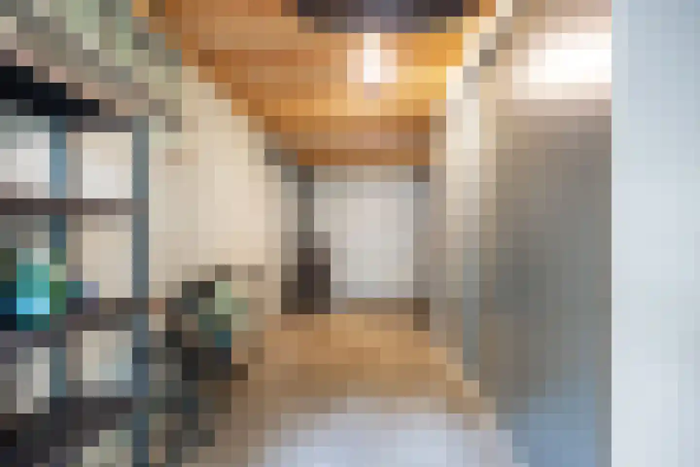 Koningsmantel 1 Assen thumbnail 55