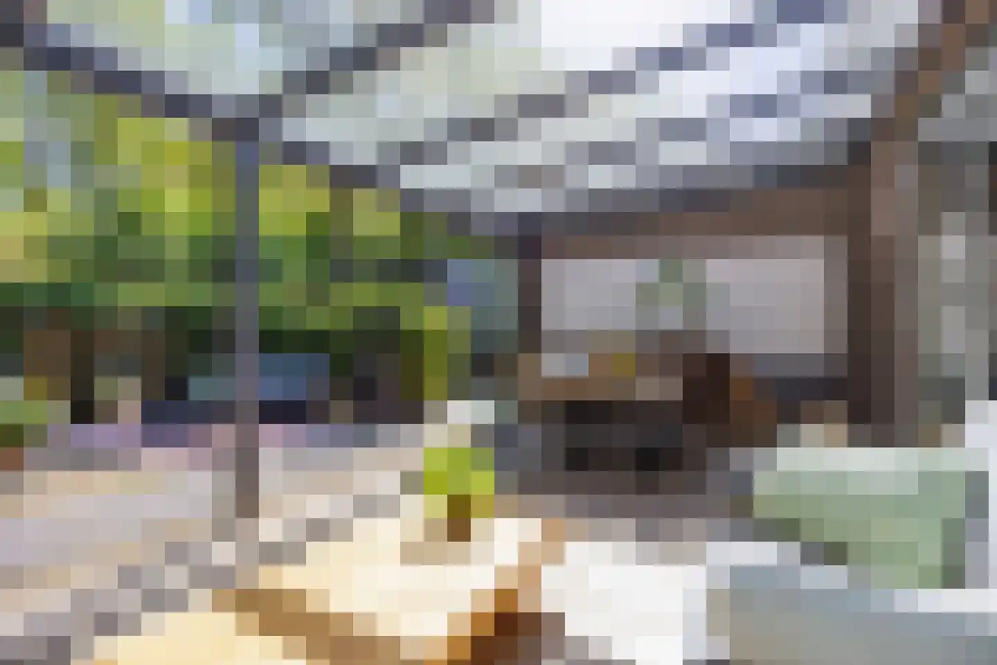 Koningsmantel 1 Assen thumbnail 59
