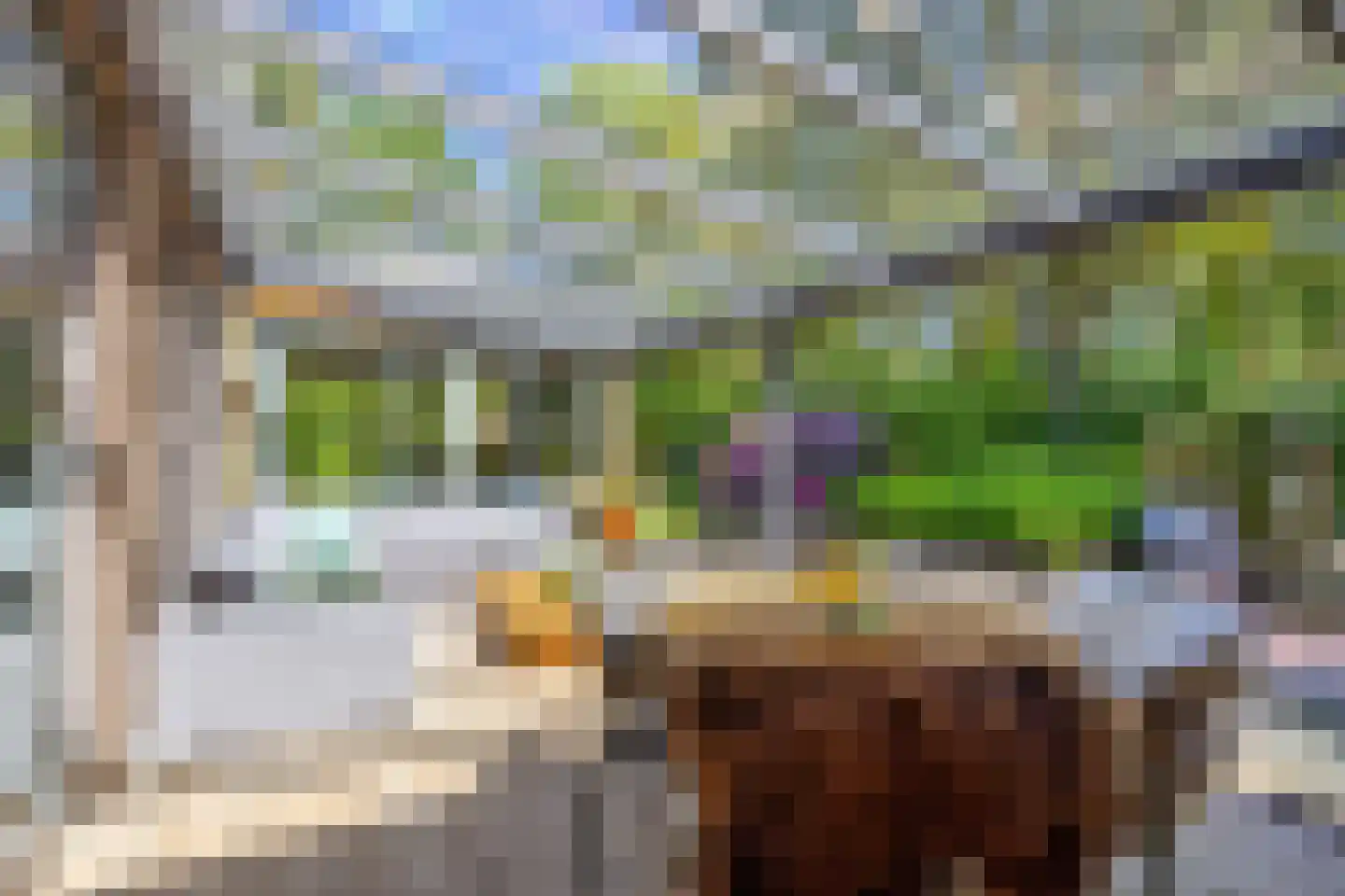 Koningsmantel 1 Assen thumbnail 60