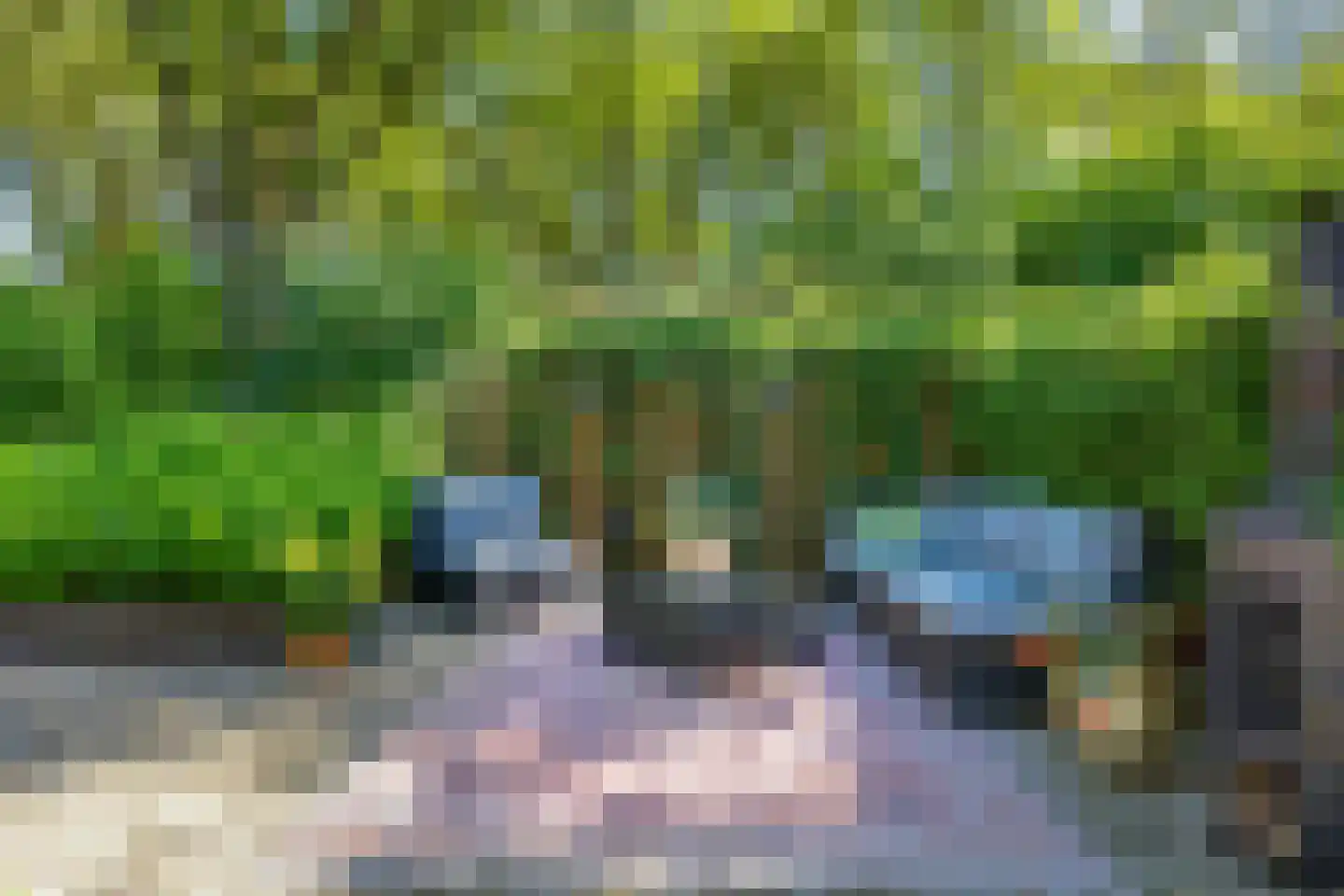 Koningsmantel 1 Assen thumbnail 63