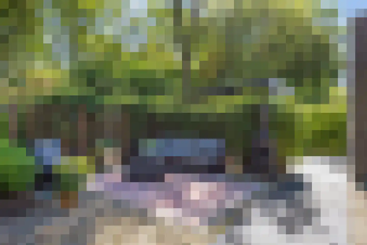 Koningsmantel 1 Assen thumbnail 64