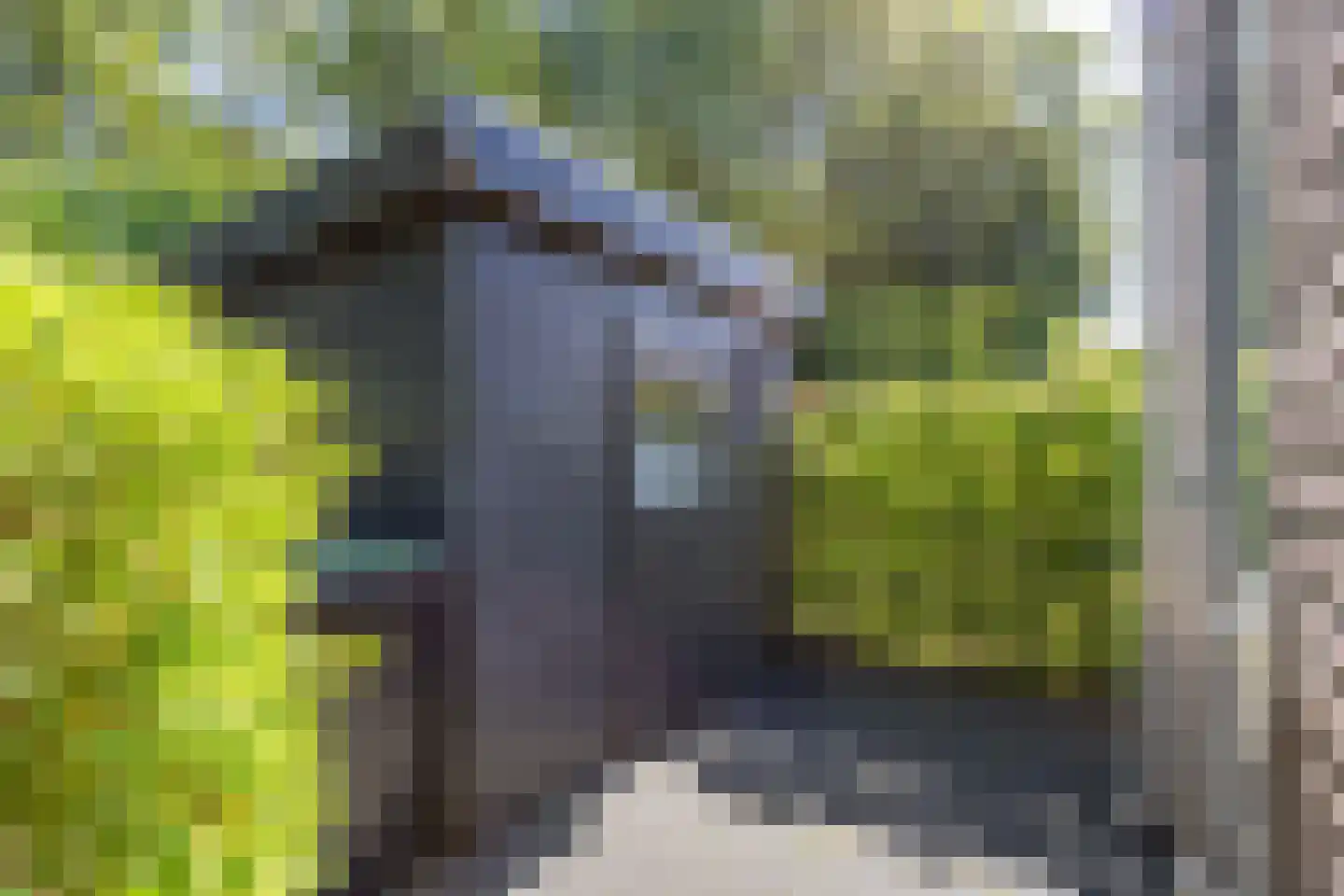 Koningsmantel 1 Assen thumbnail 65
