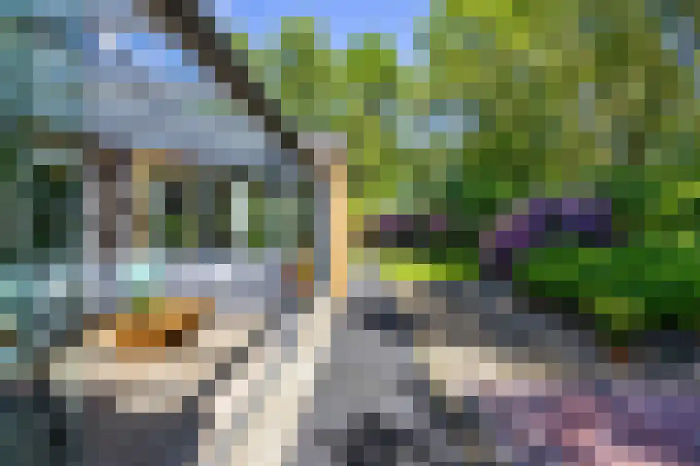 Koningsmantel 1 Assen thumbnail 66