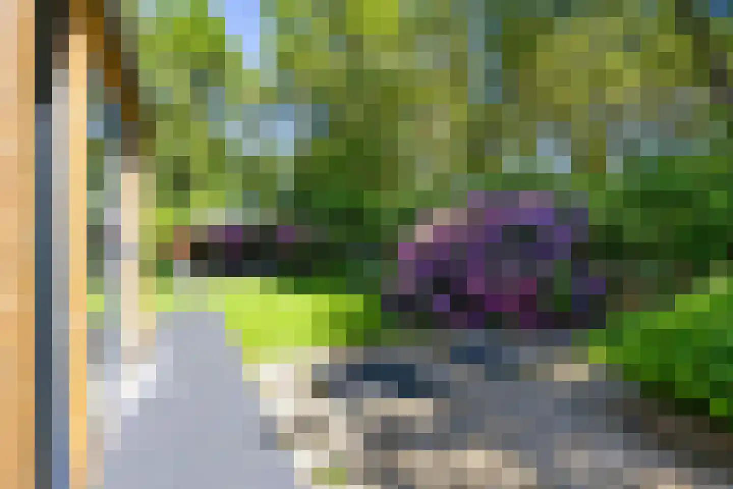 Koningsmantel 1 Assen thumbnail 67