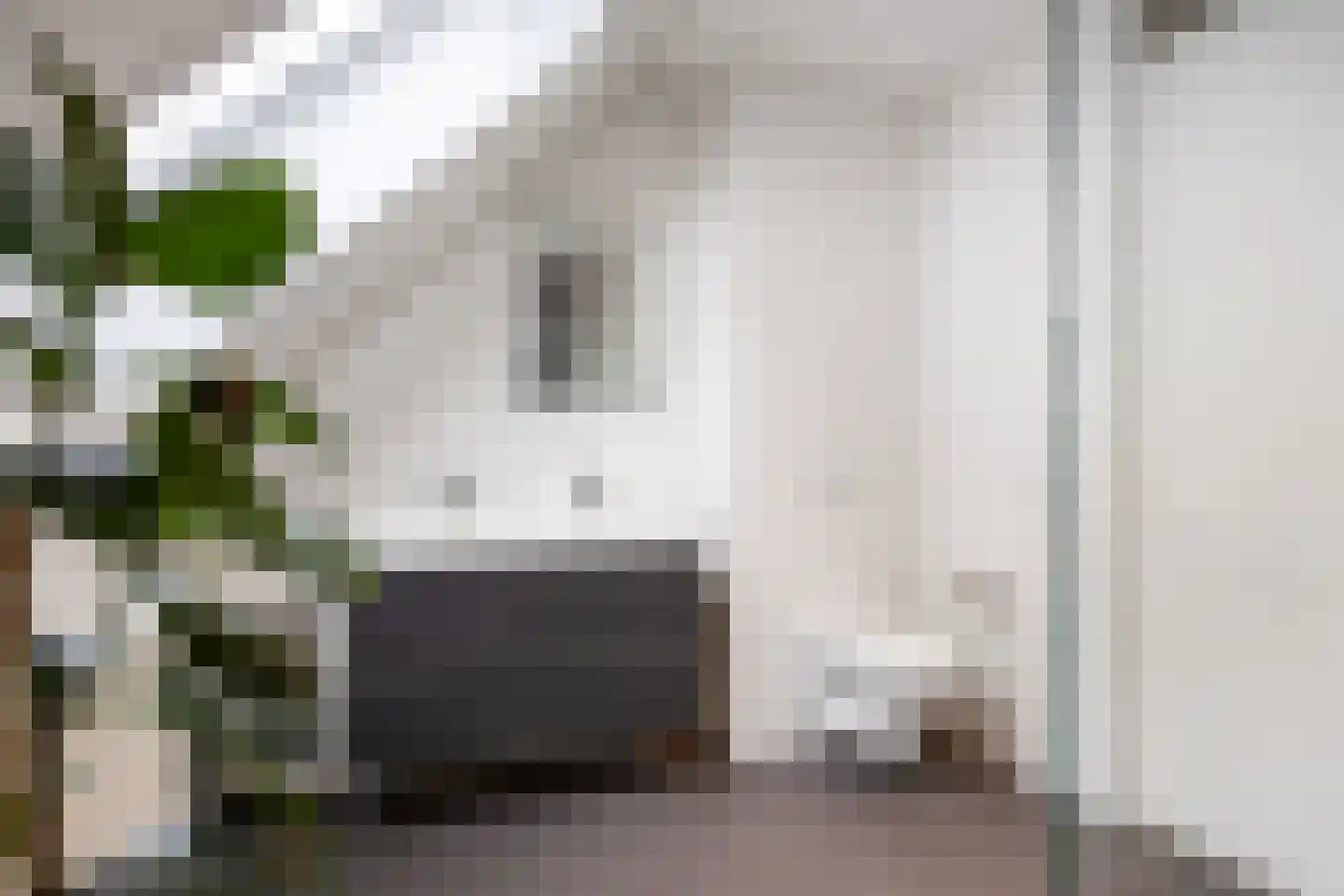 Koningsmantel 1 Assen thumbnail 7