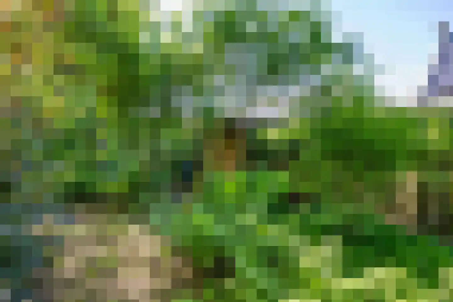 Koningsmantel 1 Assen thumbnail 71