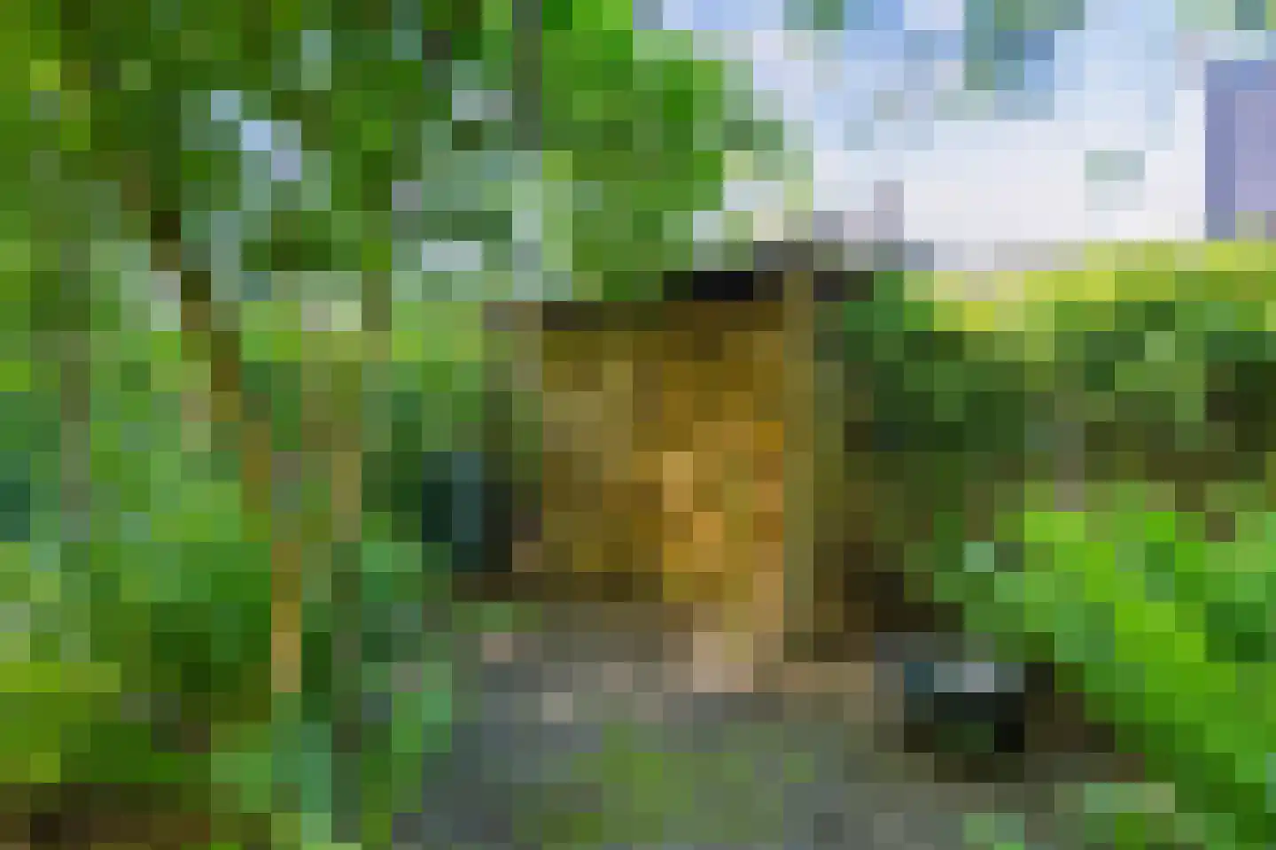 Koningsmantel 1 Assen thumbnail 72