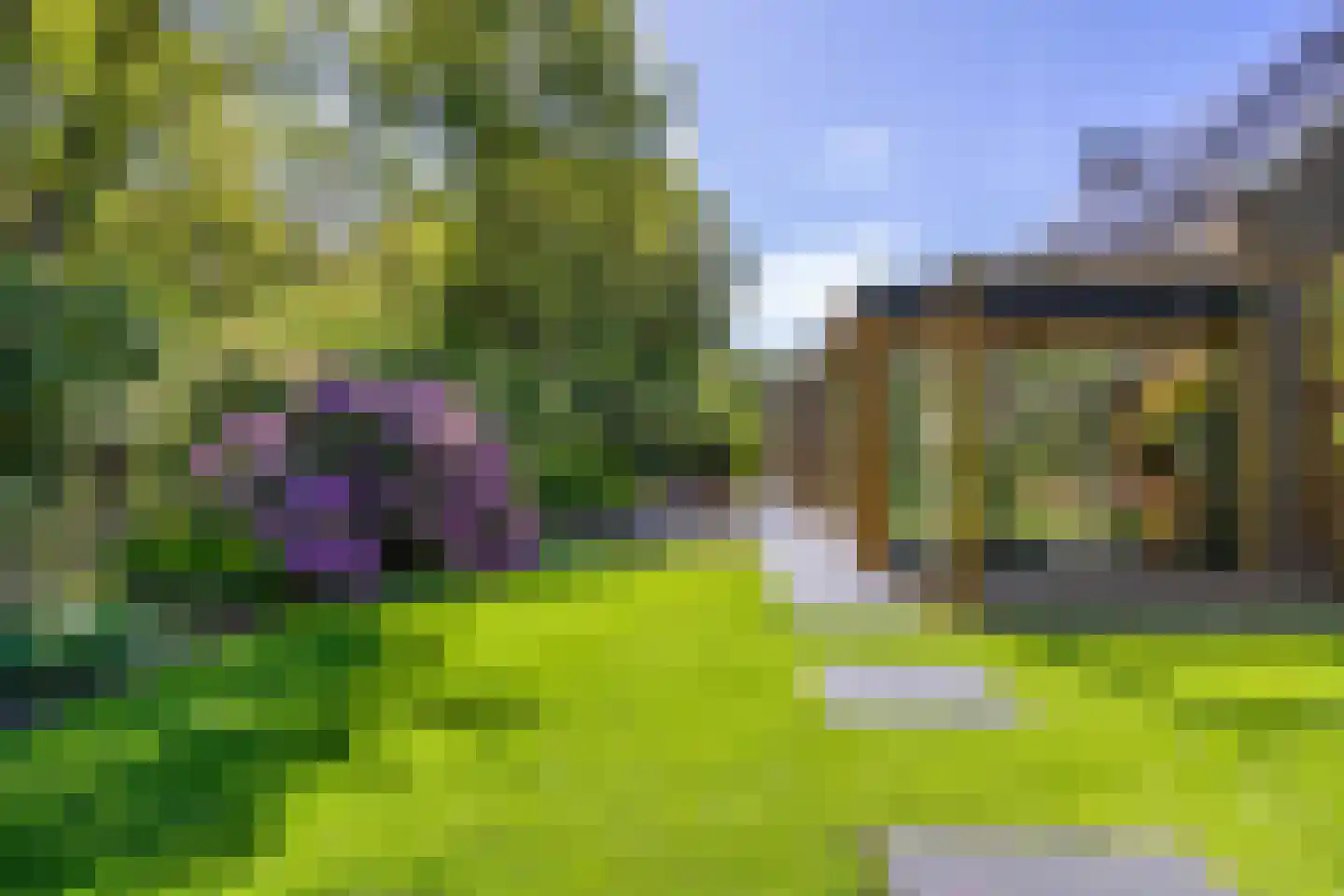 Koningsmantel 1 Assen thumbnail 76