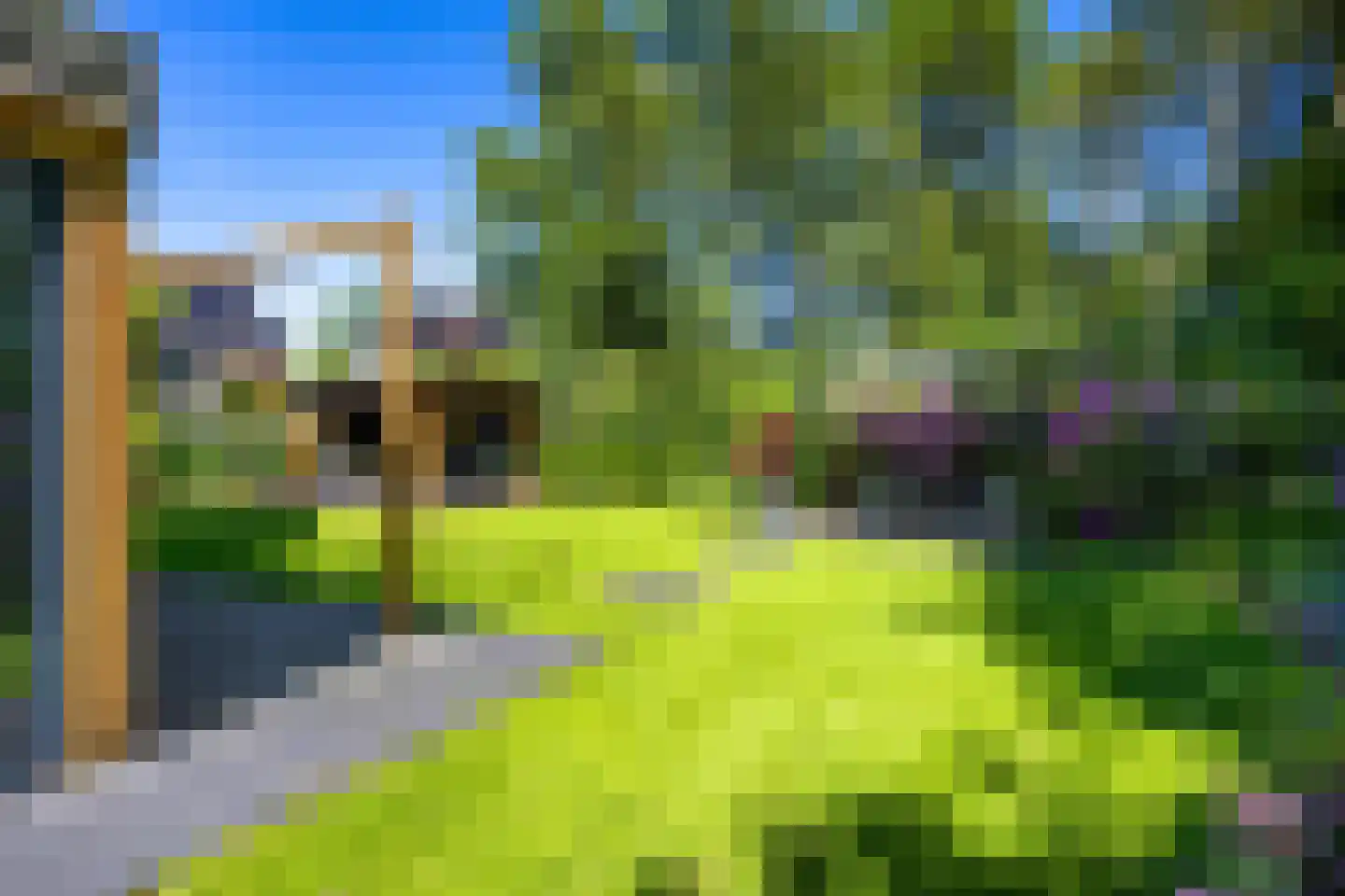 Koningsmantel 1 Assen thumbnail 78