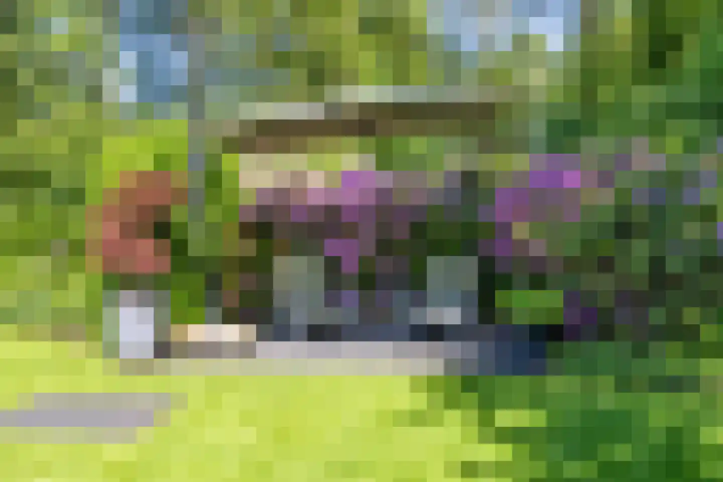 Koningsmantel 1 Assen thumbnail 79