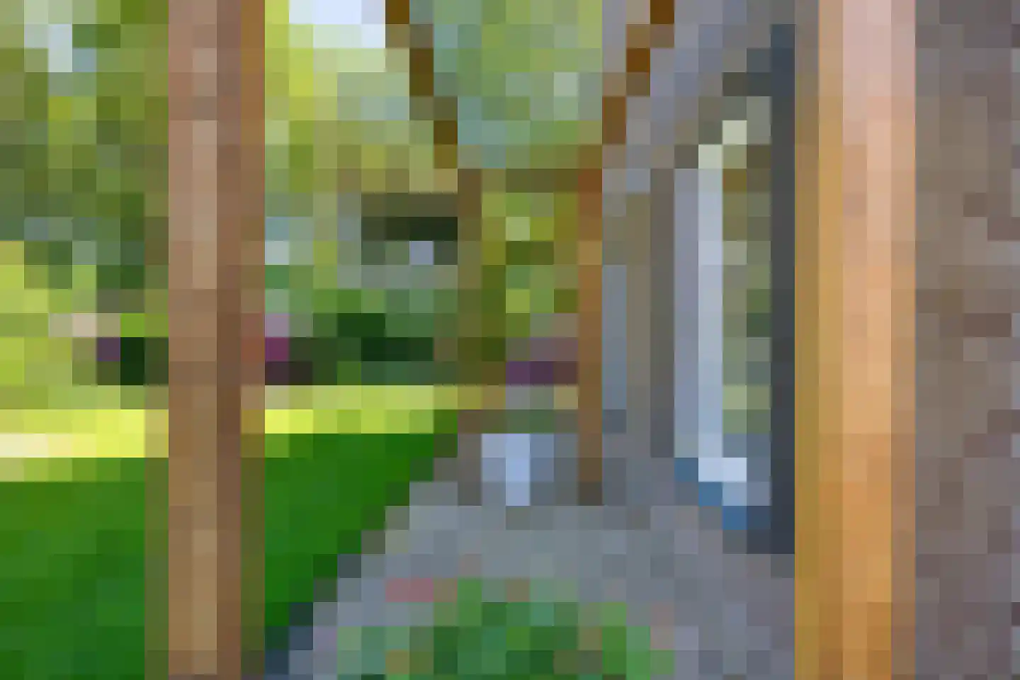 Koningsmantel 1 Assen thumbnail 85