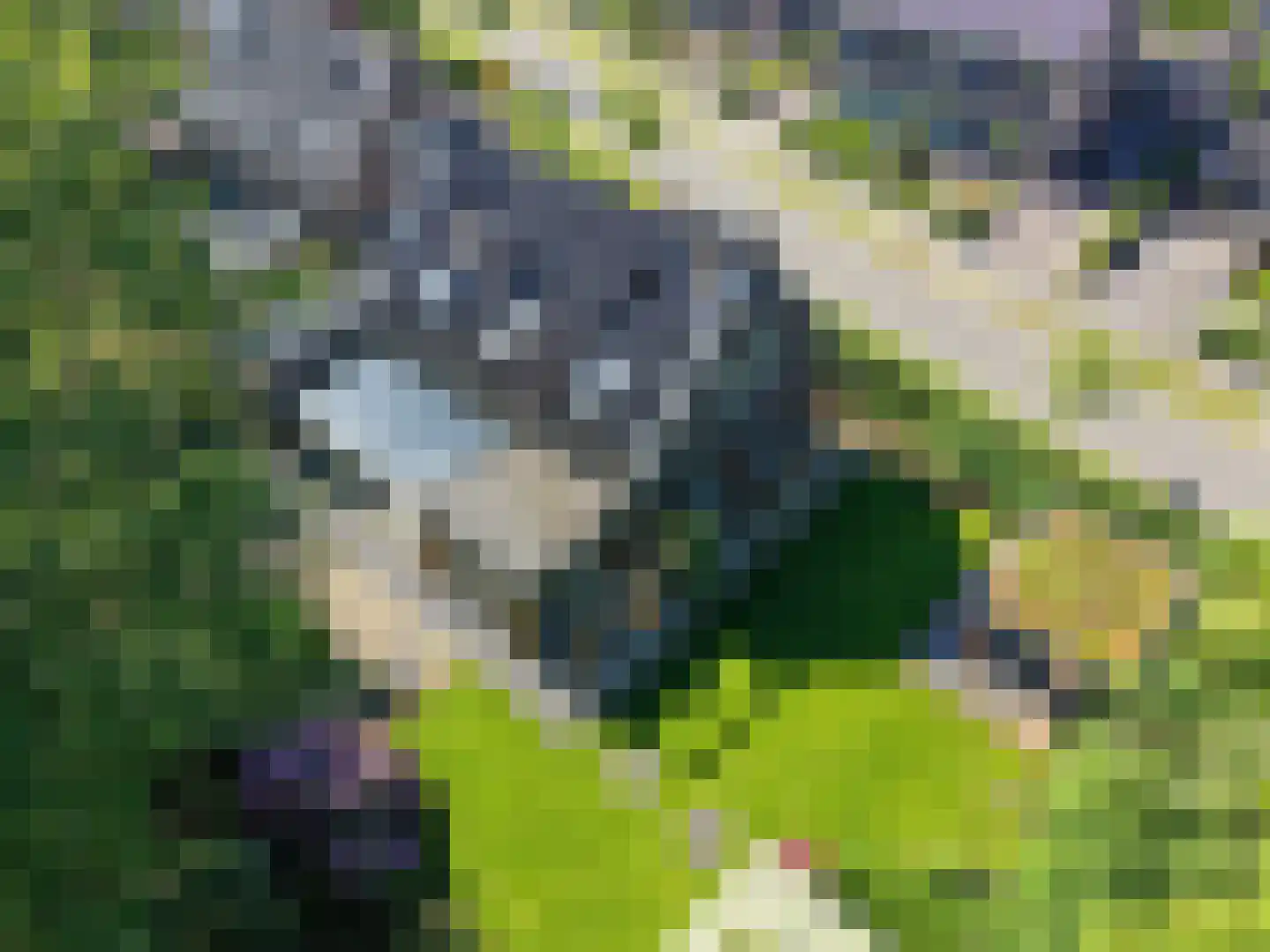Koningsmantel 1 Assen thumbnail 86