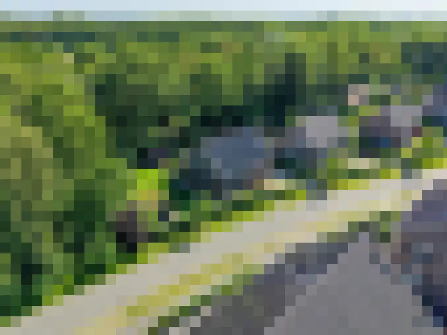 Koningsmantel 1 Assen thumbnail 87