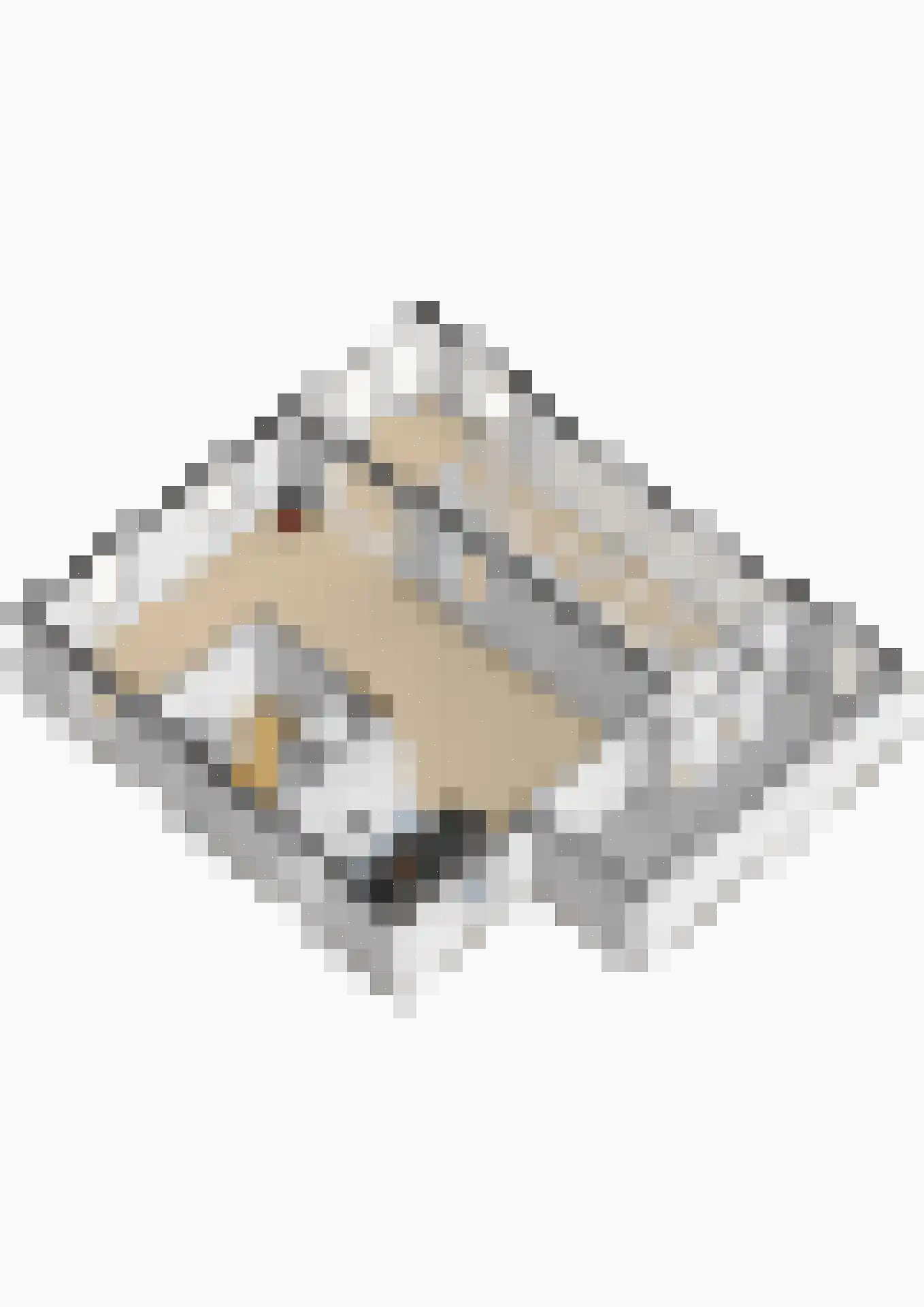 Koningsmantel 1 Assen thumbnail 91