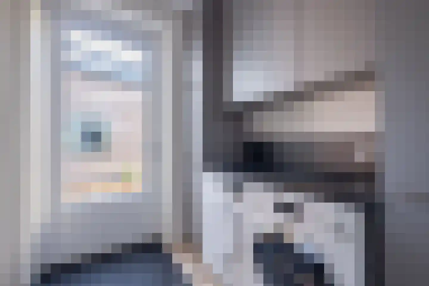 Koningsmantel 4 Assen thumbnail 12