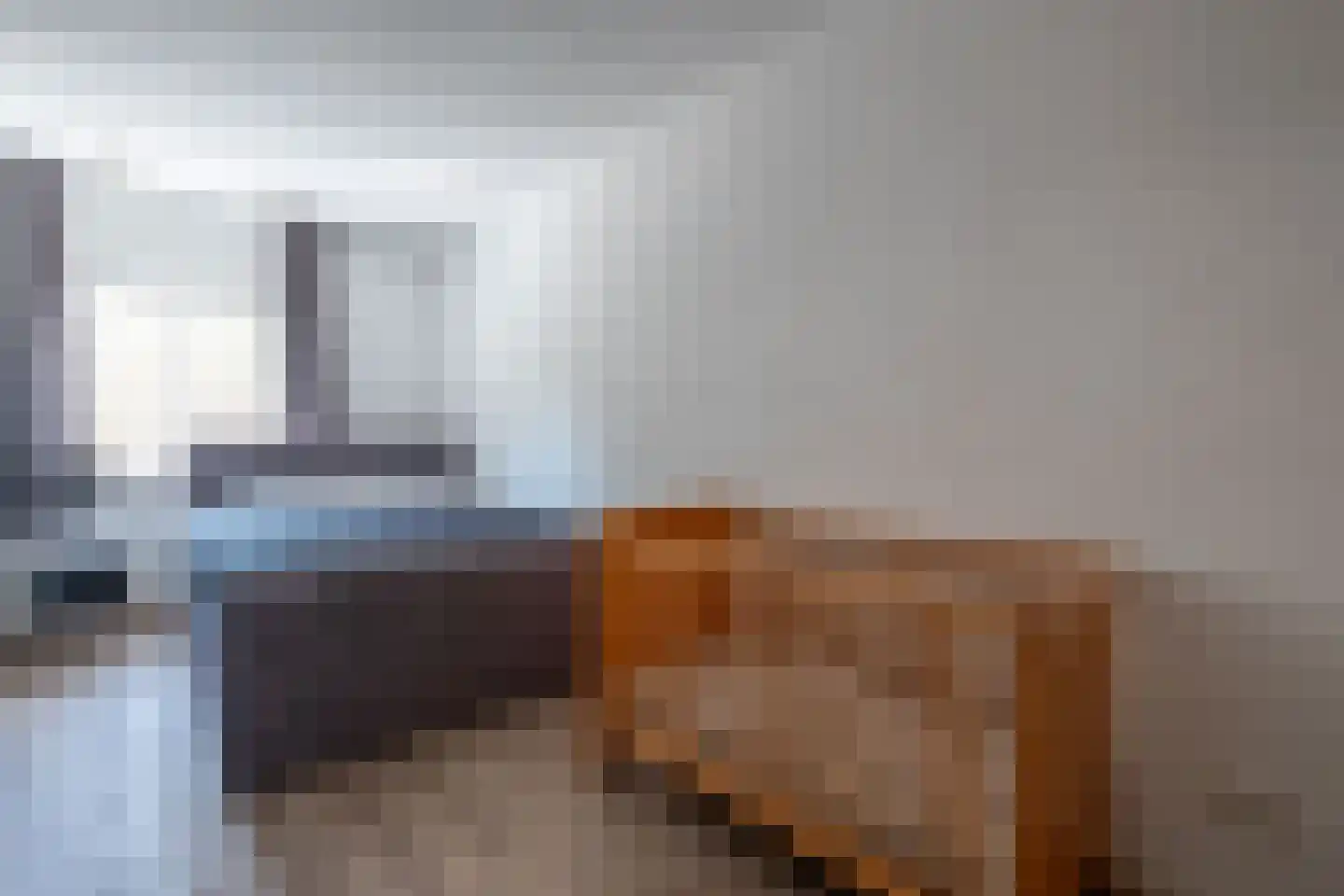 Koningsmantel 4 Assen thumbnail 18