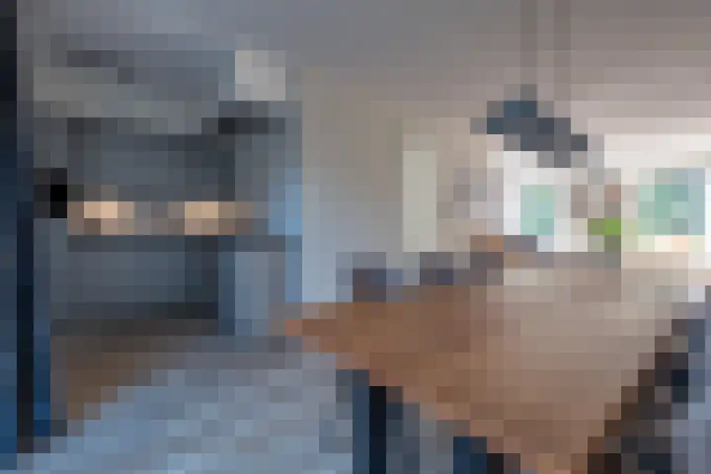 Koningsmantel 4 Assen thumbnail 8