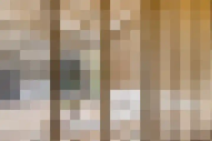 Koningsmantel 64 Assen thumbnail 12