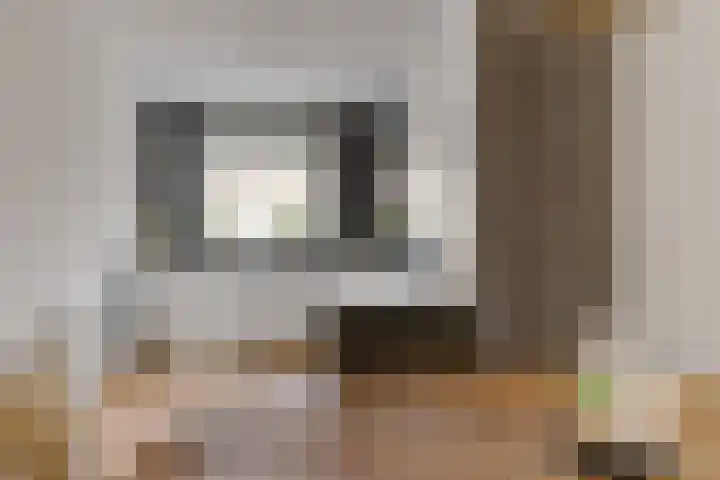 Koningsmantel 64 Assen thumbnail 16