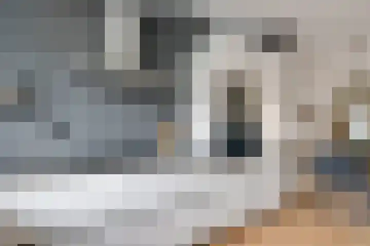 Koningsmantel 64 Assen thumbnail 18