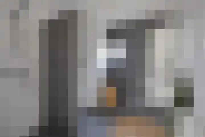 Koningsmantel 64 Assen thumbnail 21